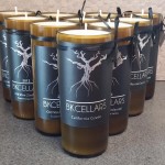 11038376_1567718336820940_8260894515807850117_n